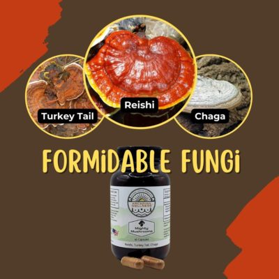 Mighty Mushrooms Capsules