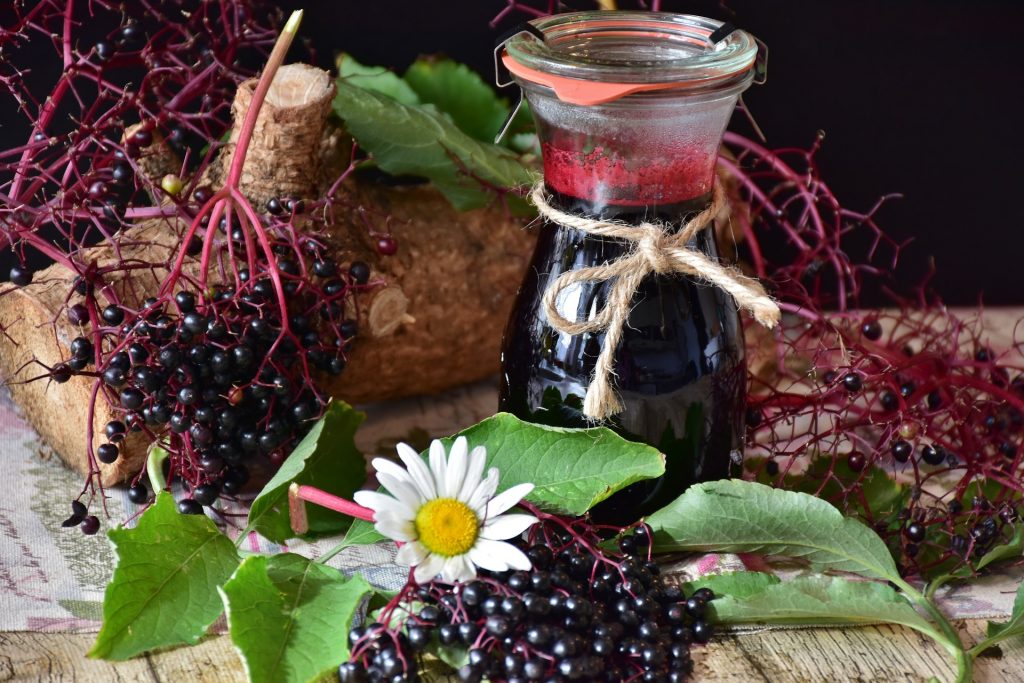 Top Four Antiviral Benefits of Elderberry