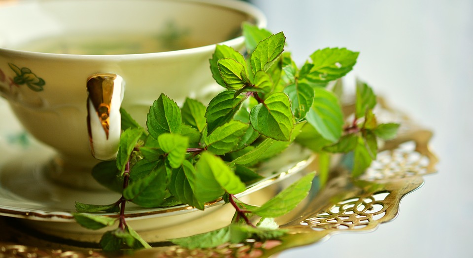 The Power of Peppermint: 15 Health Benefits Revealed