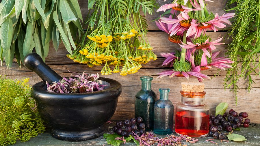 The Attack on Herbs and Supplements Is a Racket