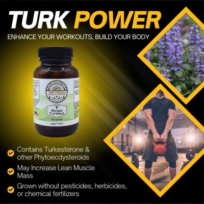 Ajuga Turkest Capsules