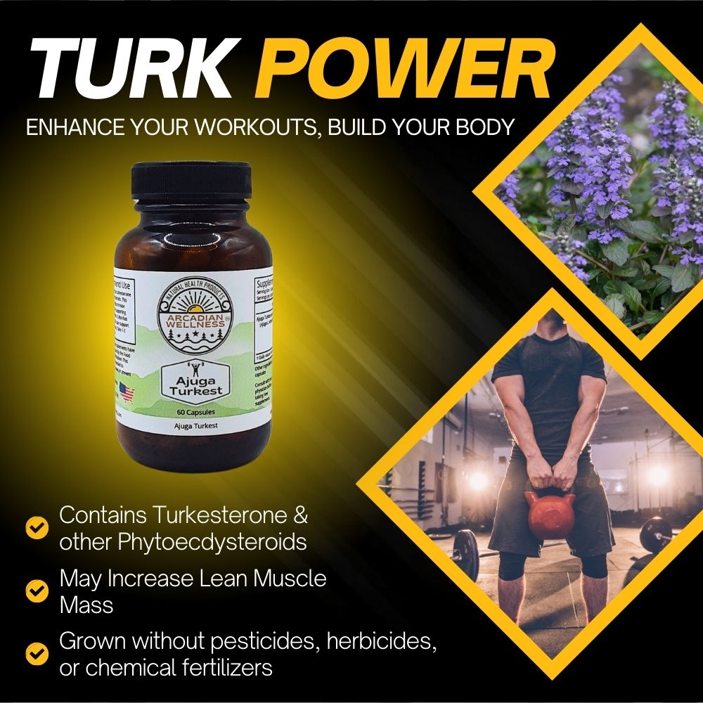 Ajuga Turkest Capsules